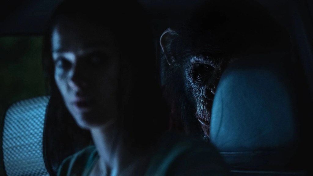 Primate (2026) Review – From Pet to&nbsp;Predator