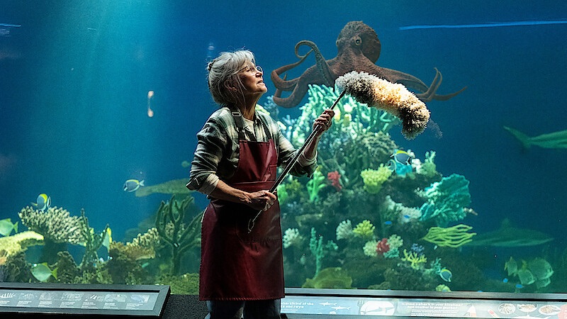 Remarkably Bright Creatures (2026) Review – Connection Beneath the&nbsp;Surface