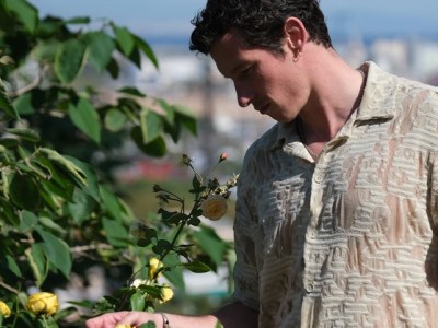 Rosebush Pruning (2026) Review – All Bloom, No&nbsp;Roots