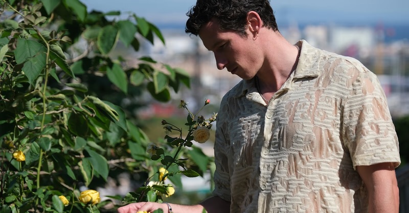 Rosebush Pruning (2026) Review – All Bloom, No&nbsp;Roots
